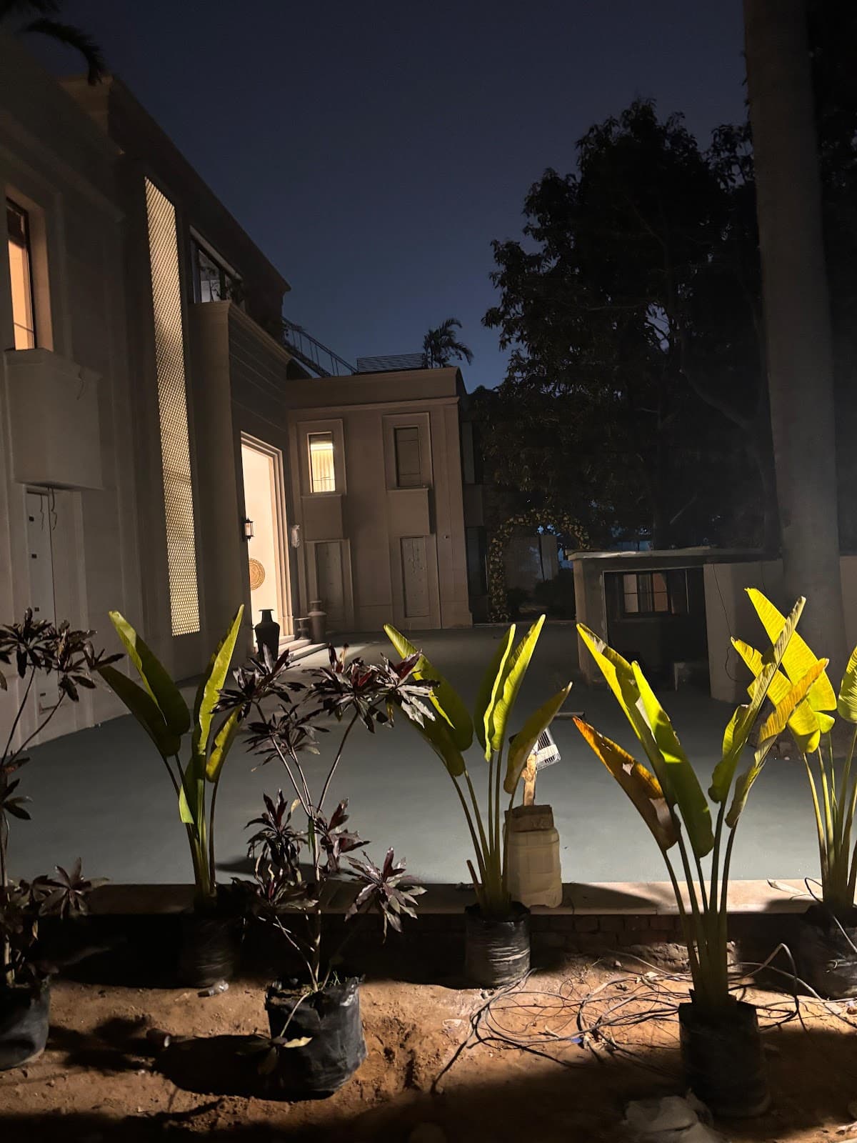 Minimalist Verticality - Limewash Wall Finish by Mannat Micro Concrete